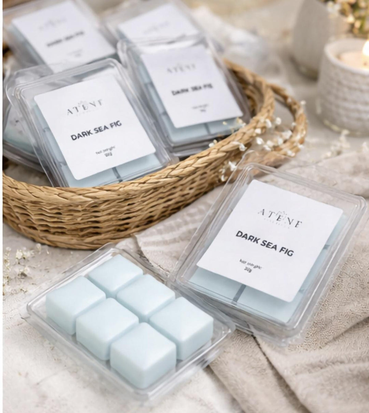 Dark Sea Fig Wax Melts detail 2