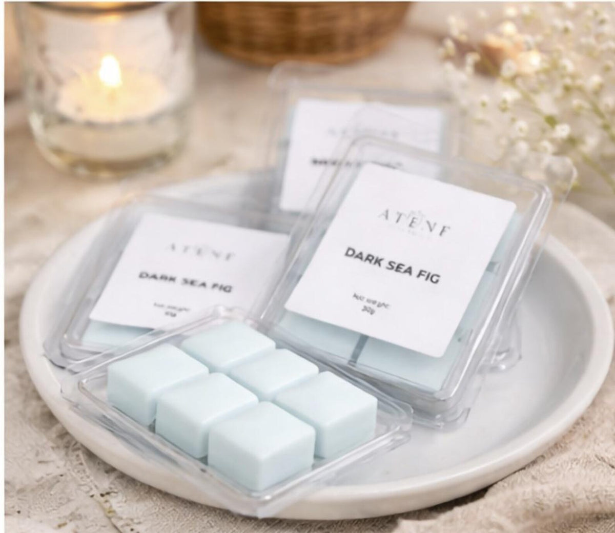 Dark Sea Fig Wax Melts detail 3
